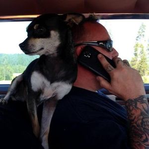 Meet your Posher, Steve